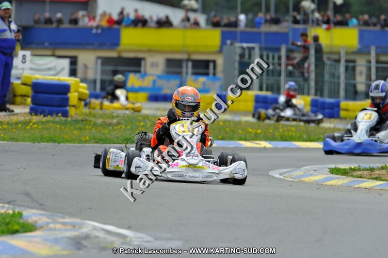 DSC_ (1590).jpg